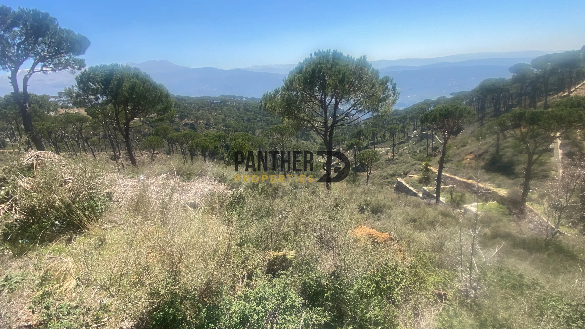 Land for sale in Zaraoun, lebanon