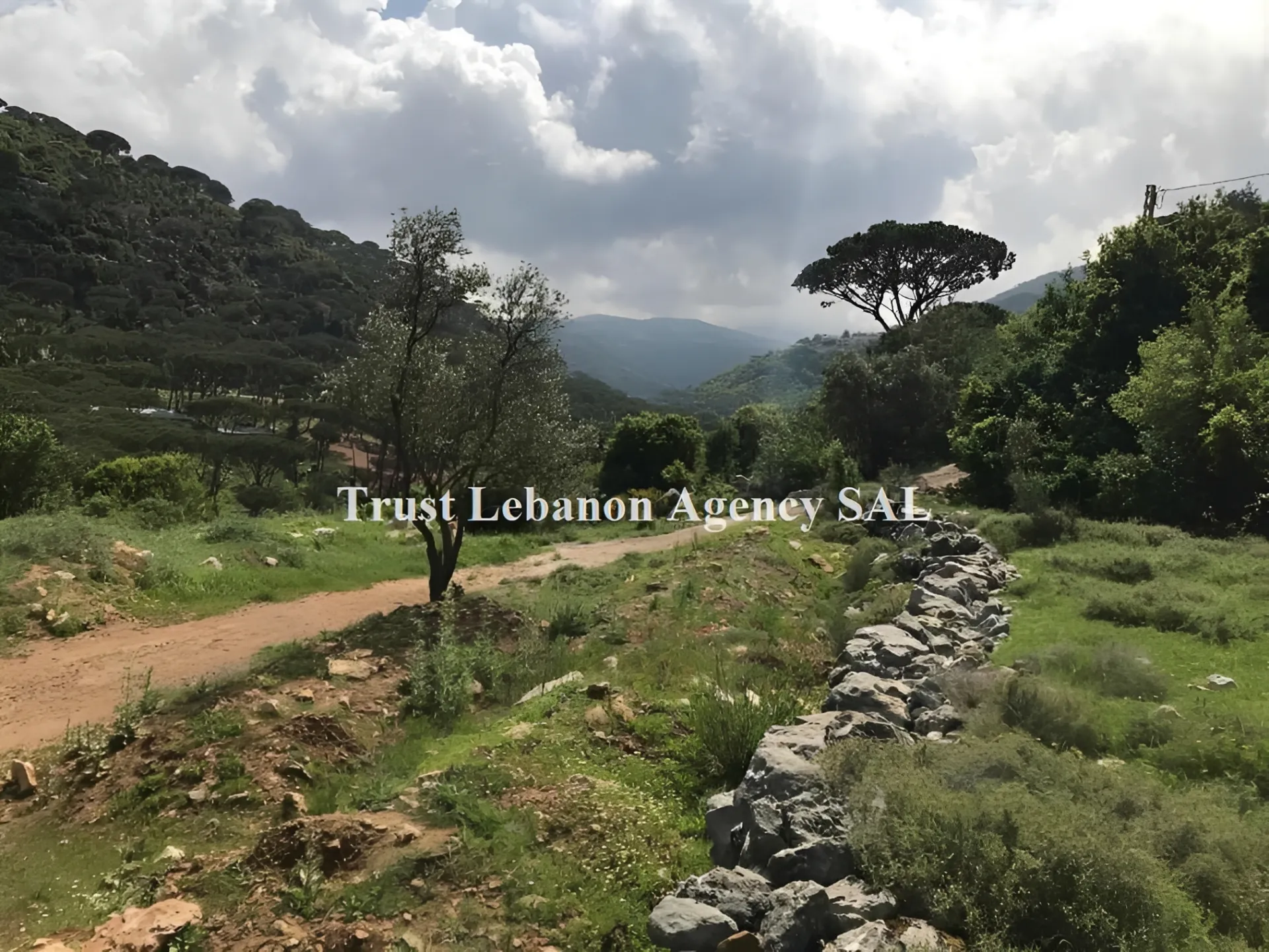 Land for Sale in Arsoun