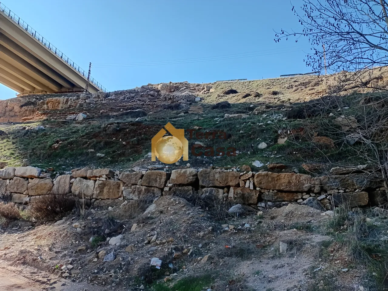 Land for sale in Hammana