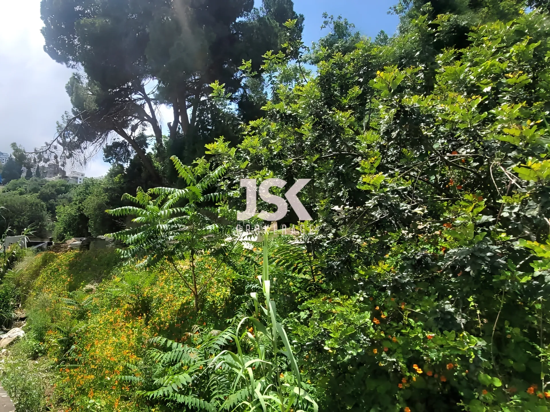 Land for Rent in Sarba