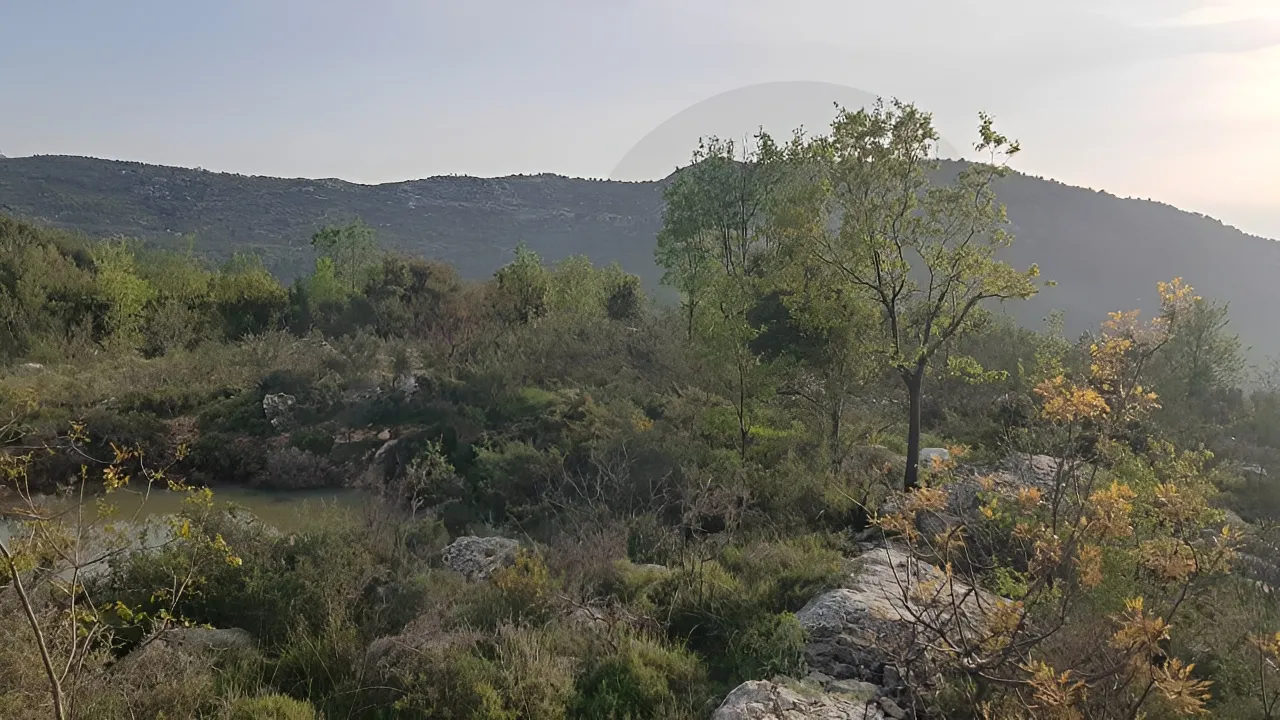 Land for Sale in Lehfed
