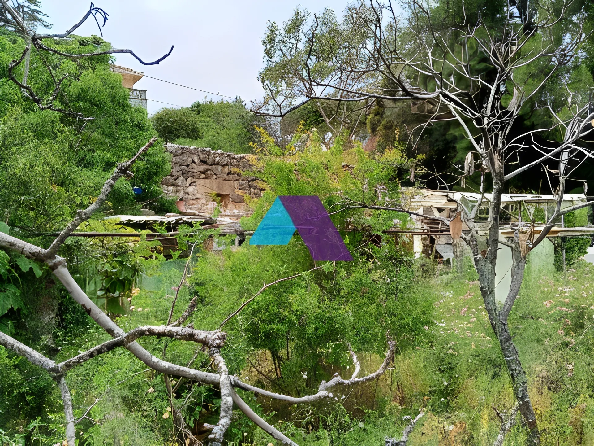 Land for Sale in Batroun
