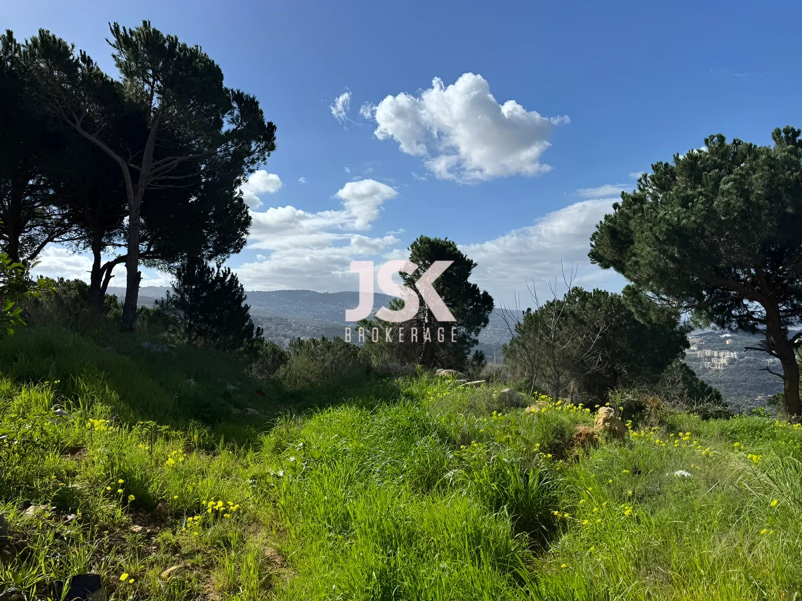 Land for Sale in Ain Saadeh