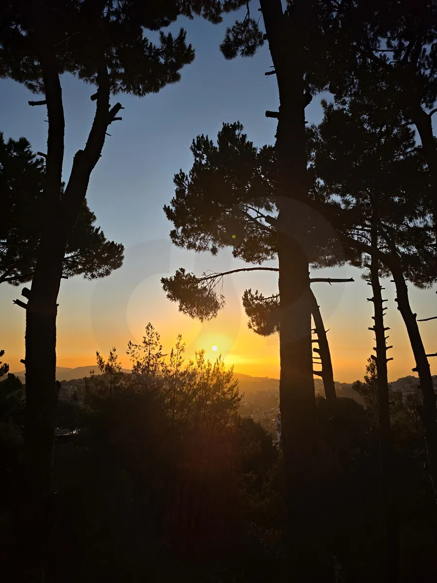 Land for Sale in Aley, Lebanon