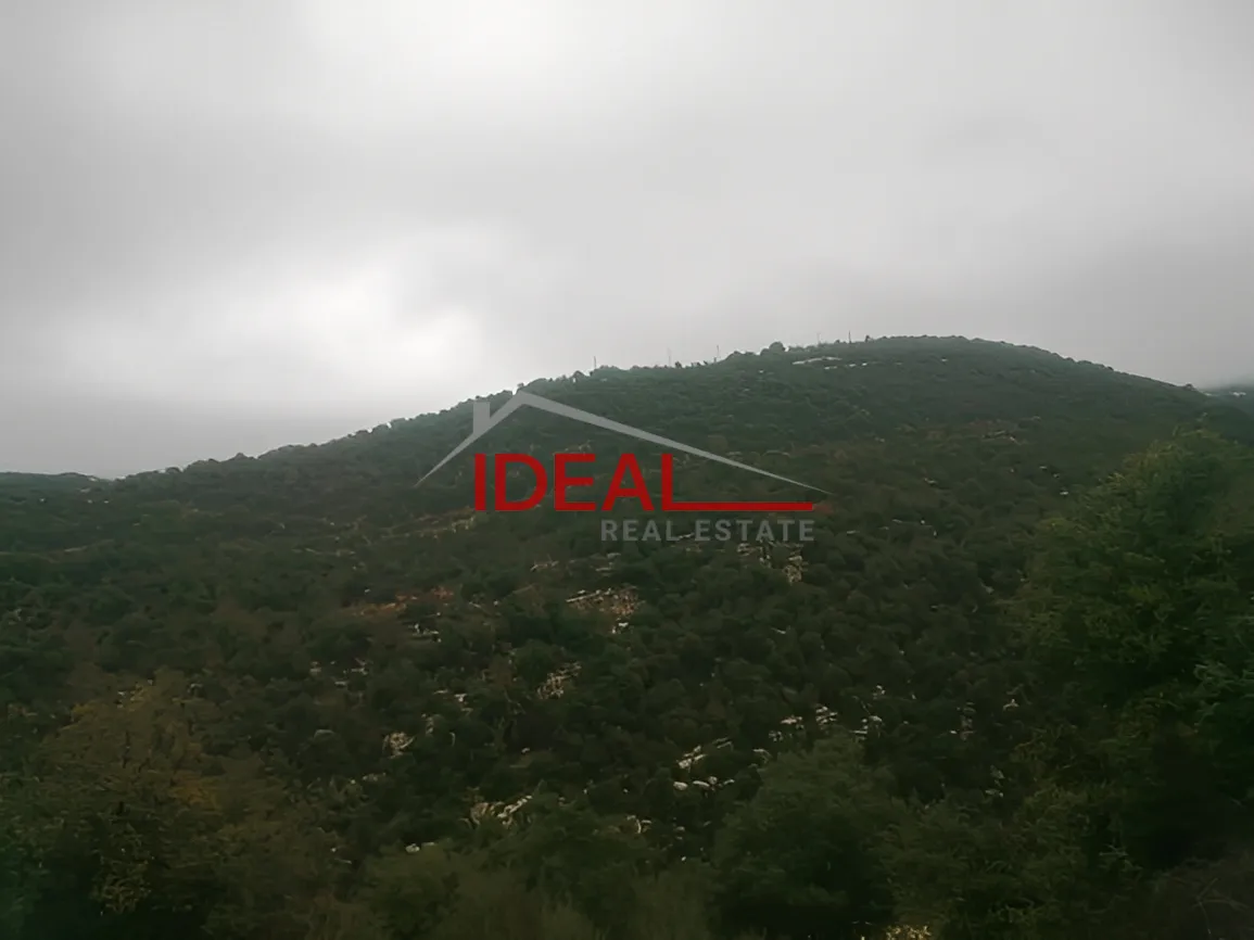Land for Sale in Ras Osta, Lebanon