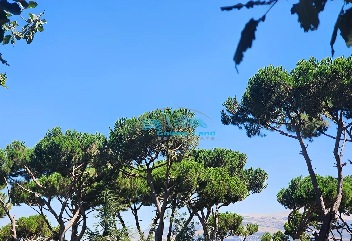 Land for Sale in Bolonia, Mrouj