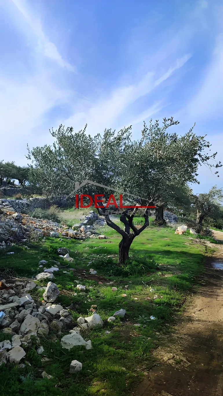 Land for Sale in Chabtine, Lebanon