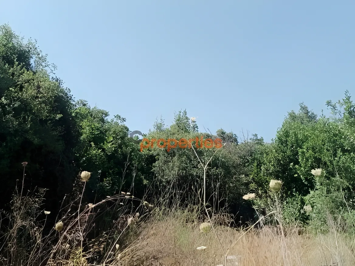 Residential Land for Sale in Edde