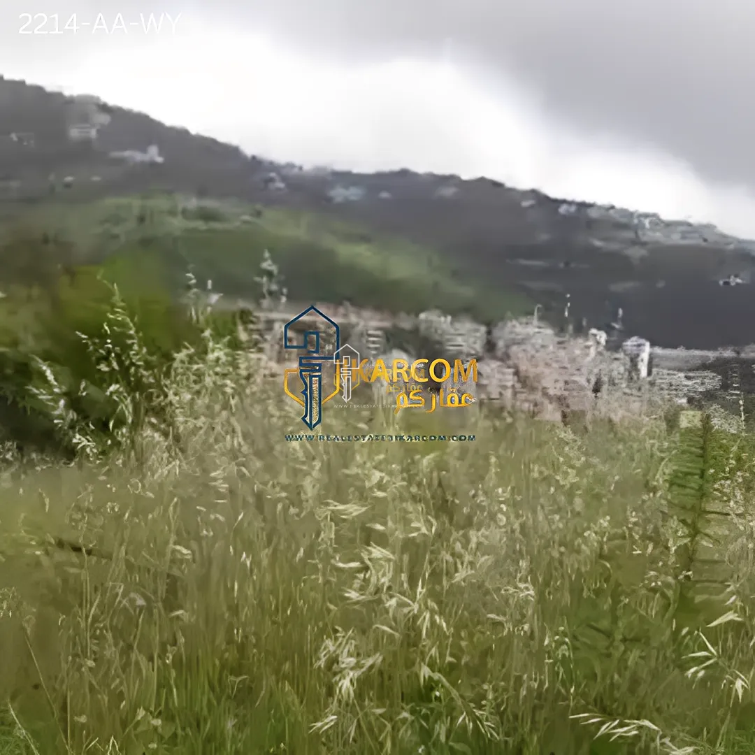Land for Sale in Ain Aalaq