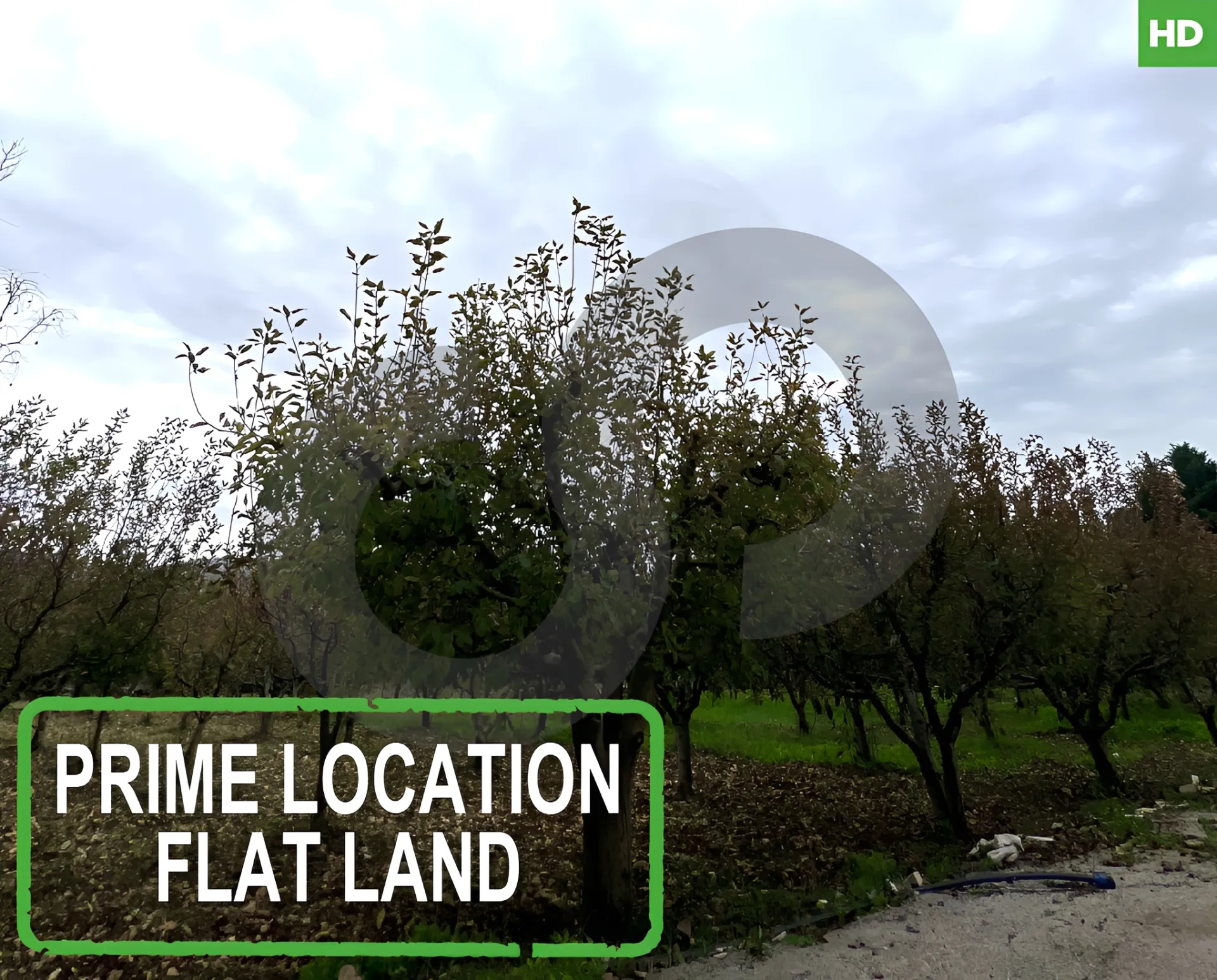Land for Sale in Aley