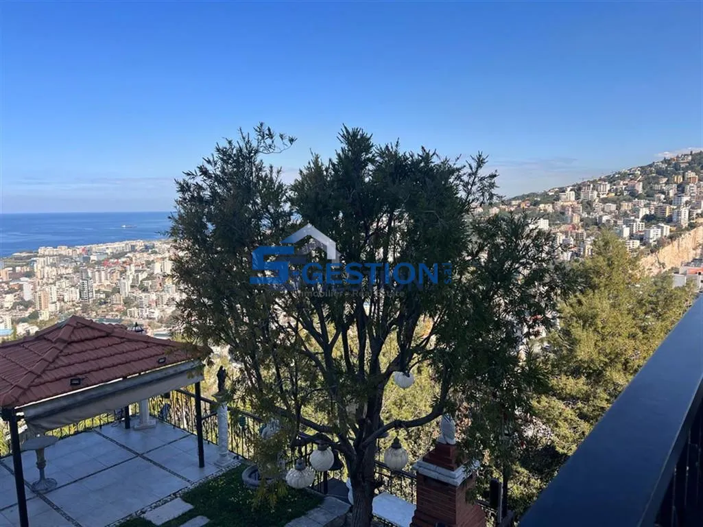 Apartment for Rent in Bsalim