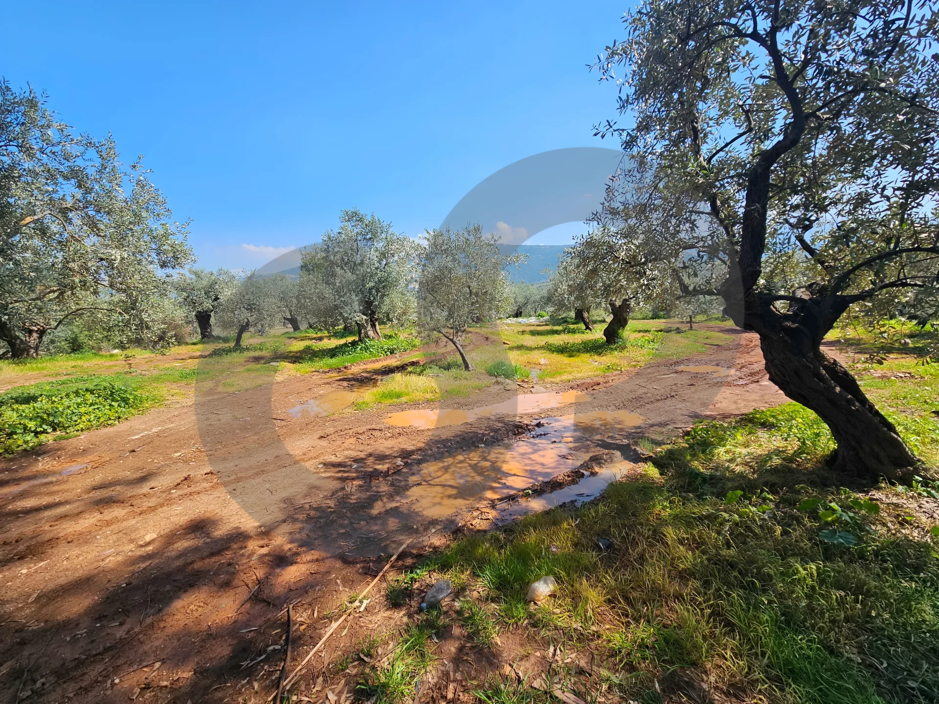 Land for Sale in Zgharta