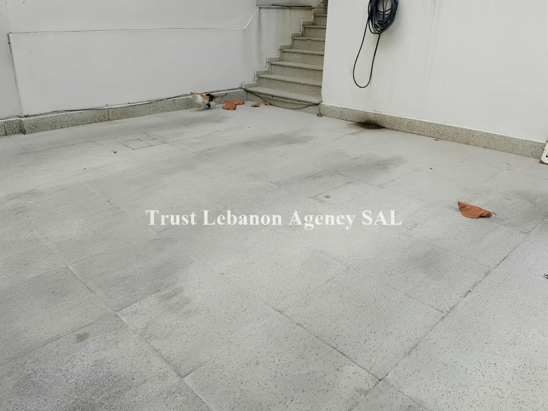 Apartment for Rent in Ashrafieh Beirut Lebanon