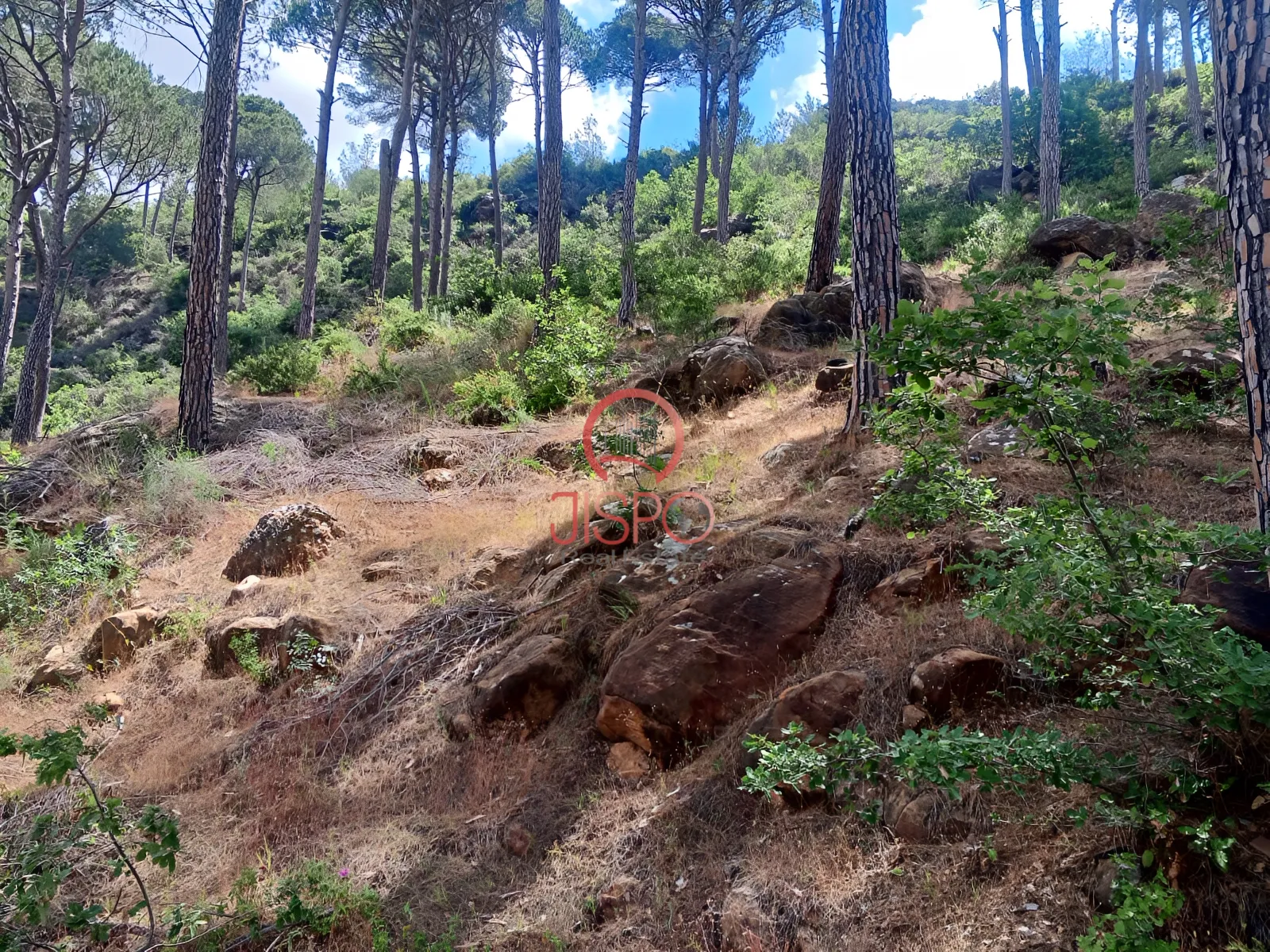 Land for Sale in Aley