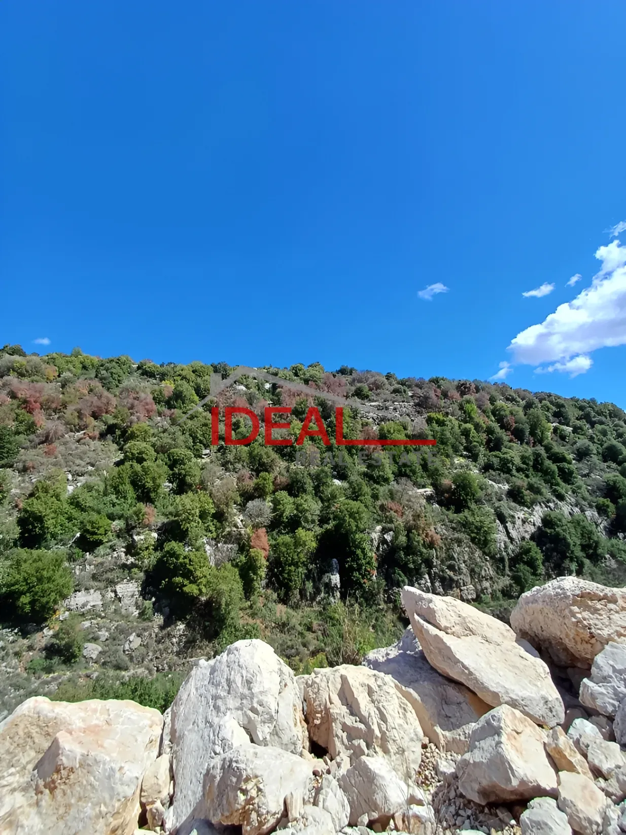 Residential Land for sale in Assia, Lebanon