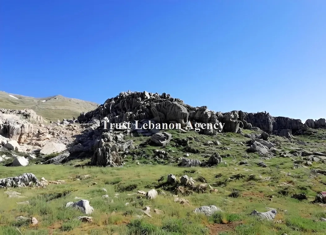 Land for Sale in Jbeil, Laqlouq