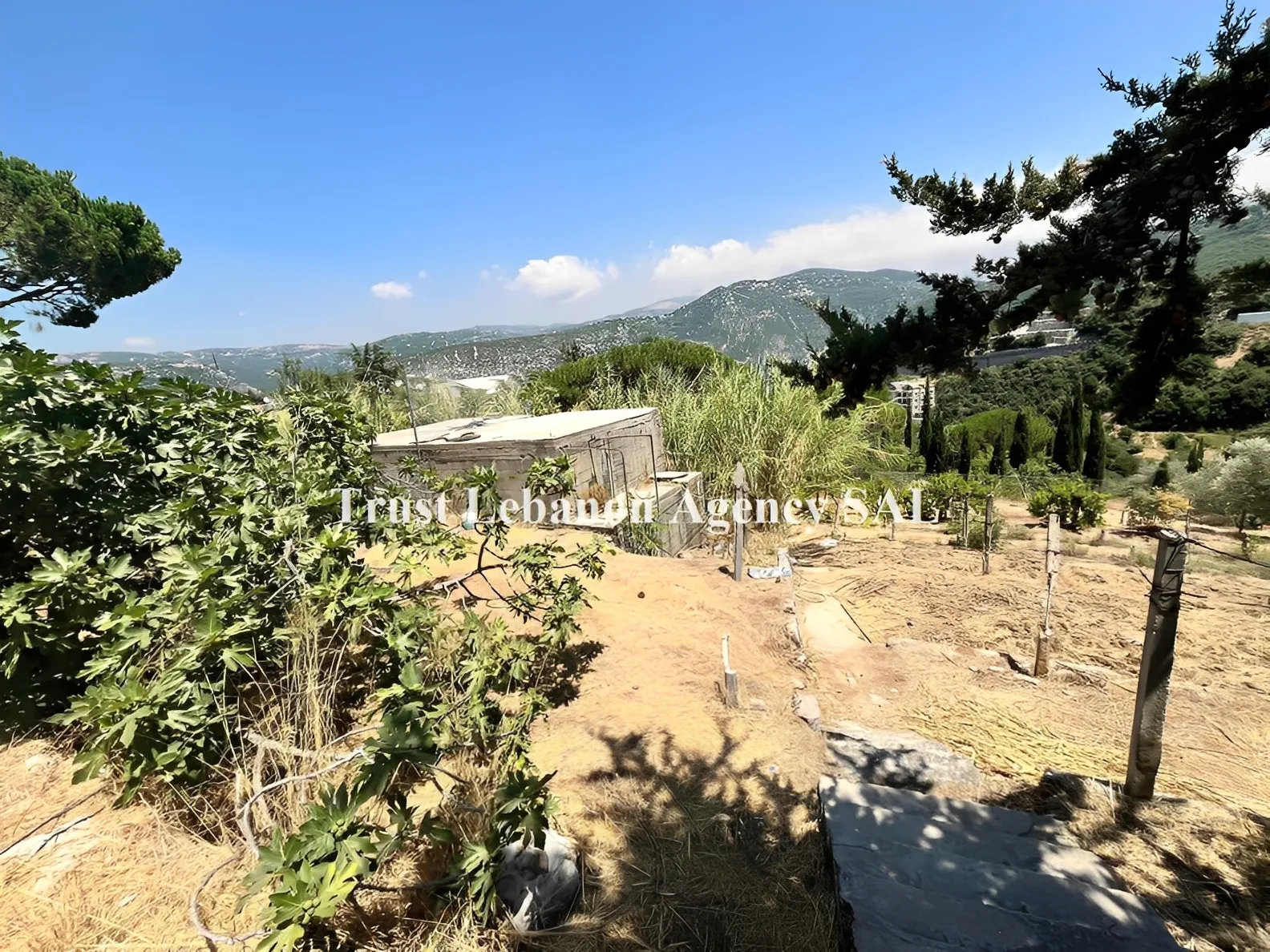 Land for Sale in Metn Hemleya Lebanon