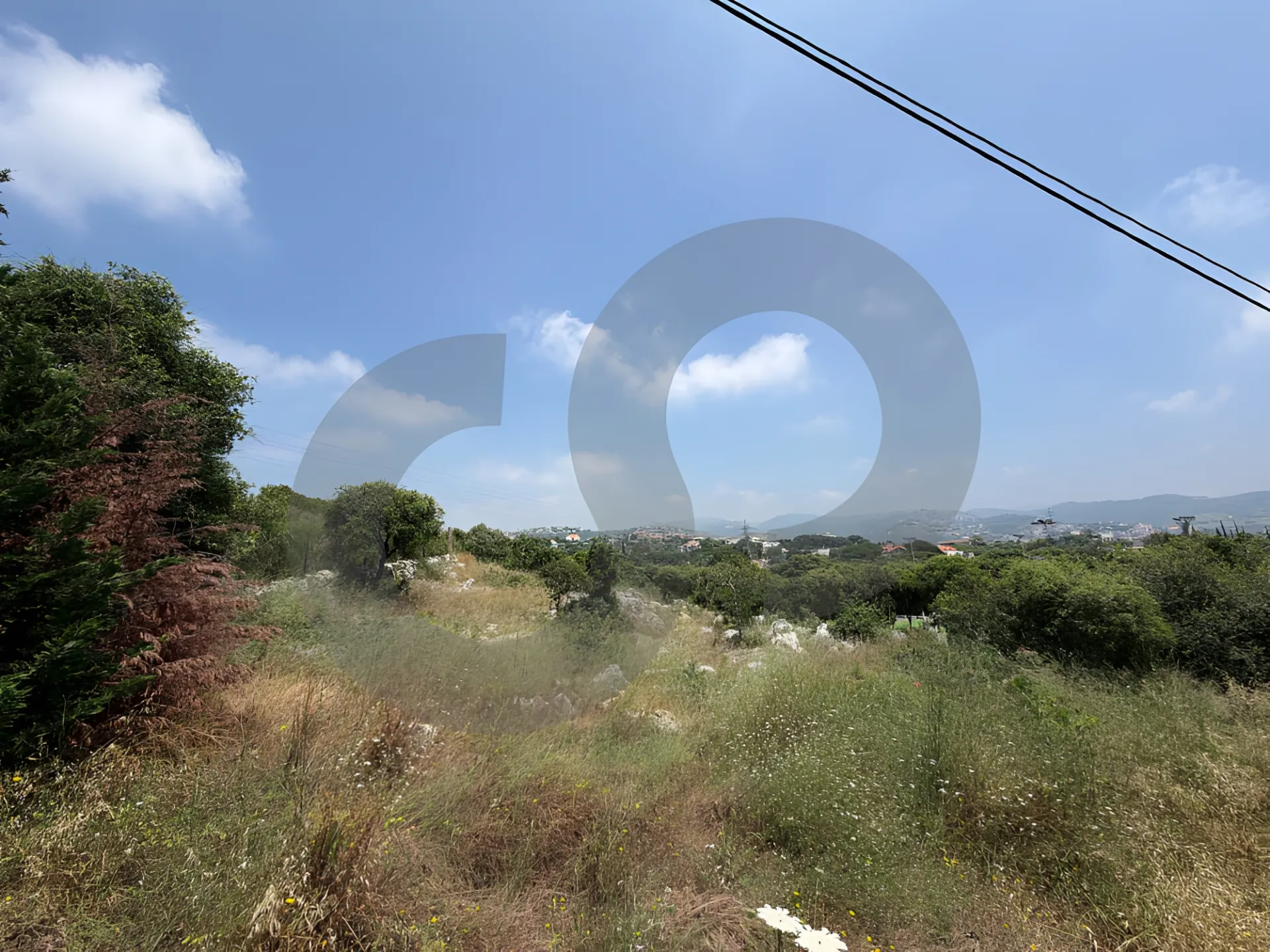 Land for Sale in Edde