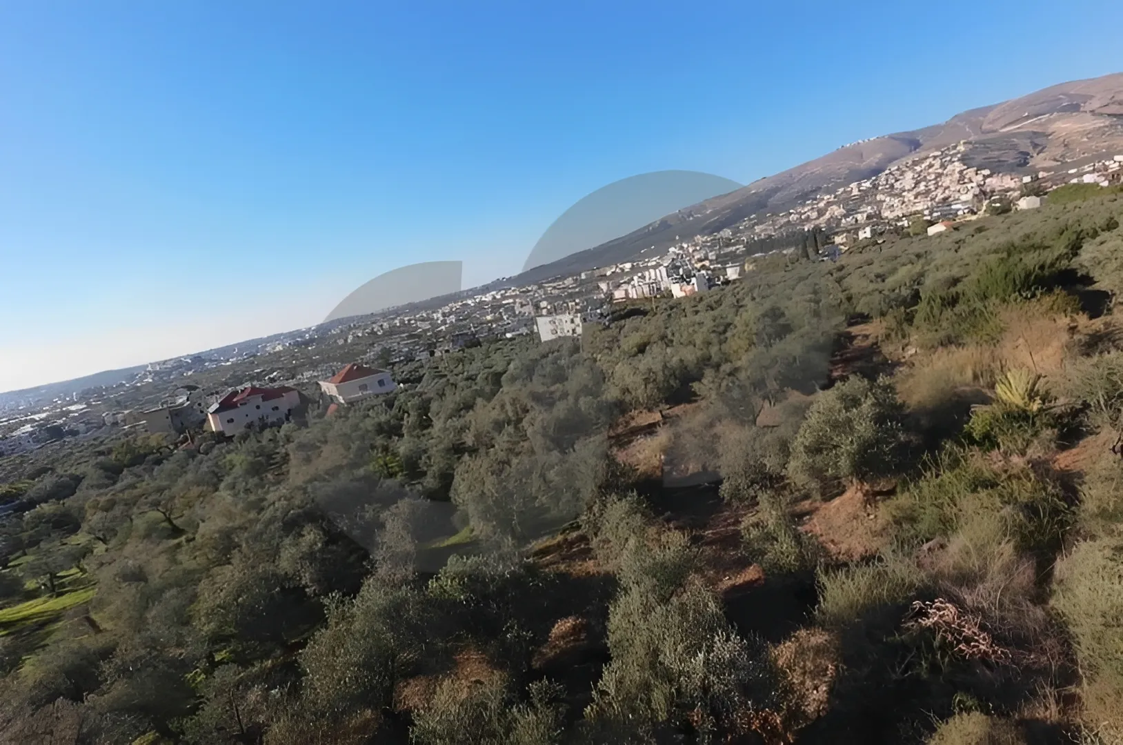 Land for Sale in Zgharta, Lebanon