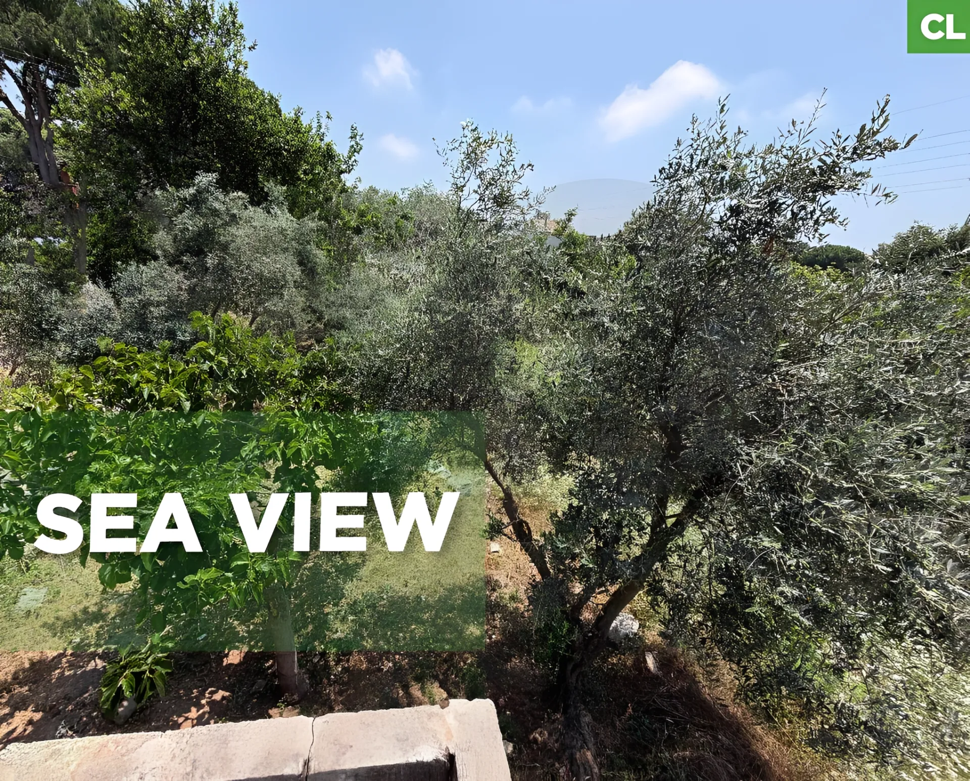 Land for Sale in Edde