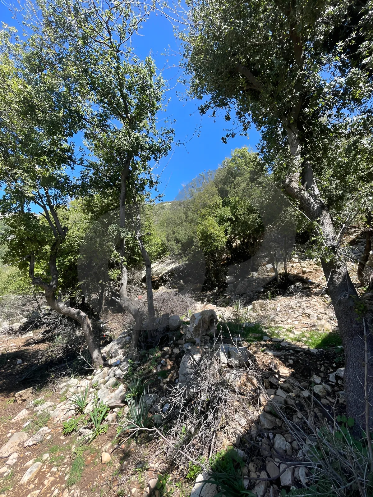 Land for Sale in Ehmej