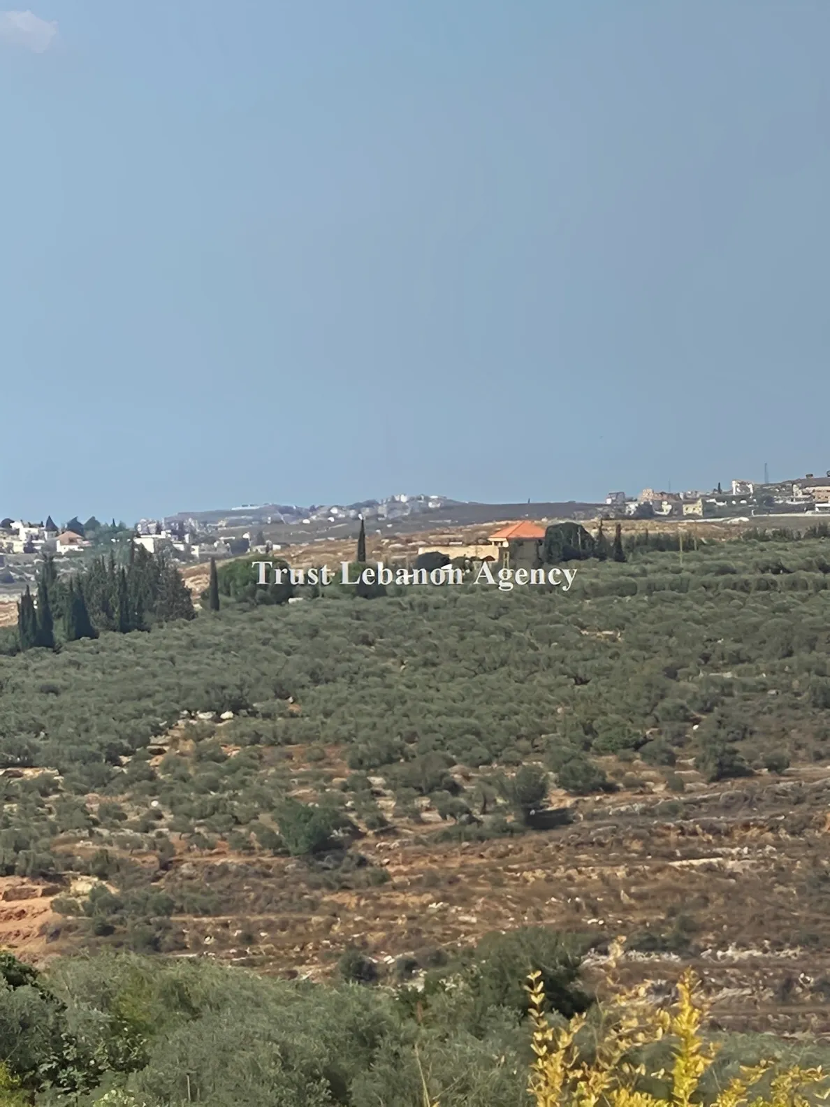 Land for Sale in Nabatiye