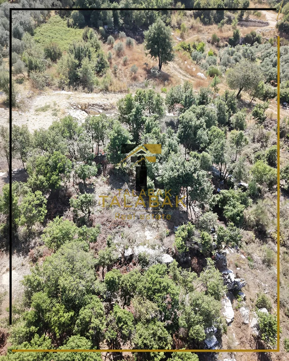 Residential Land for sale in Mechmech