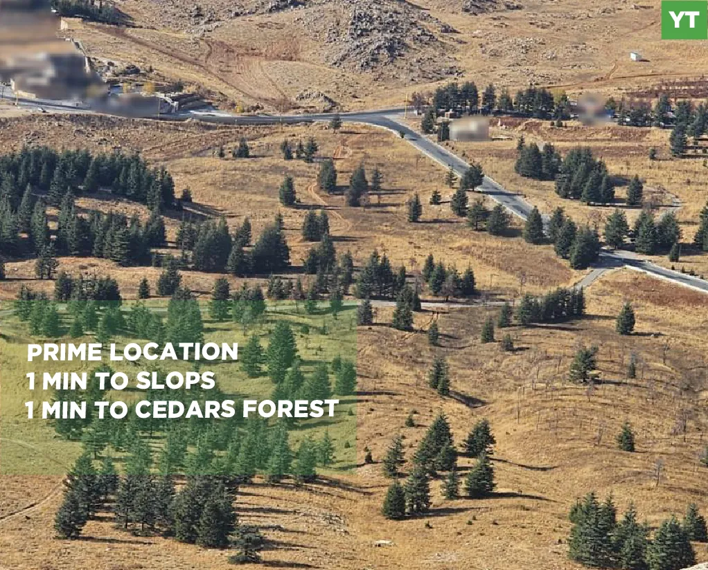 Land for Sale in Ariz
