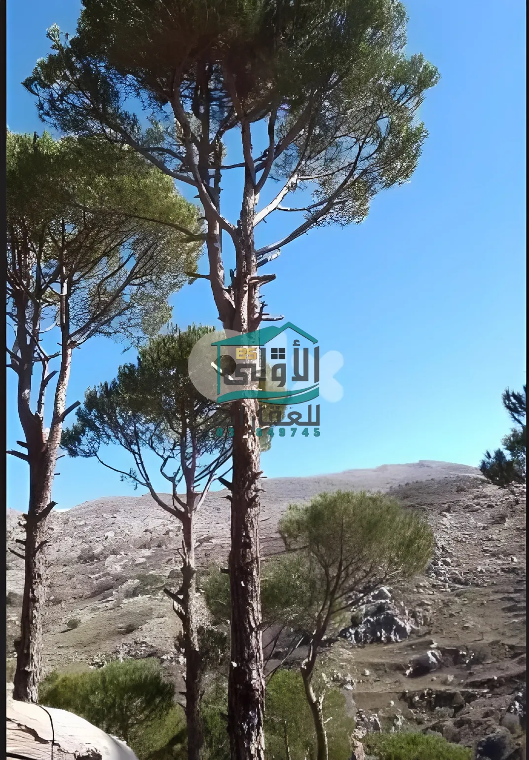 Land in الكفير، حاصبيّا، lebanon