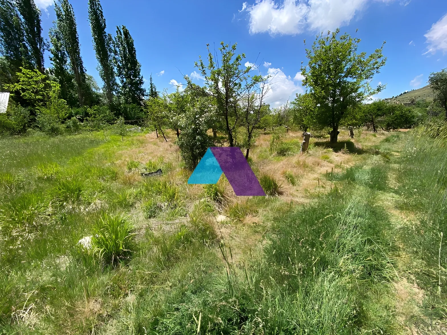 Land for Sale in Faraya