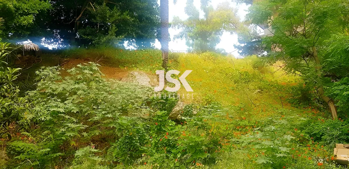 Land for Sale in Sarba, Lebanon