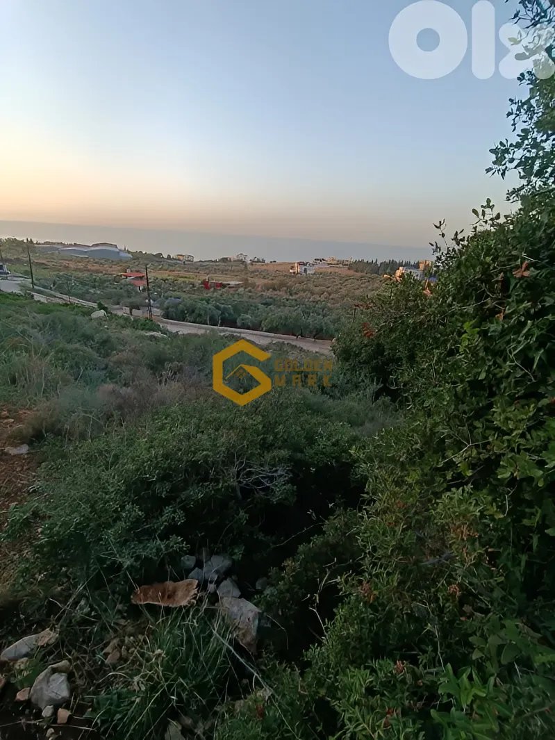 Land for Sale in Ras Maska