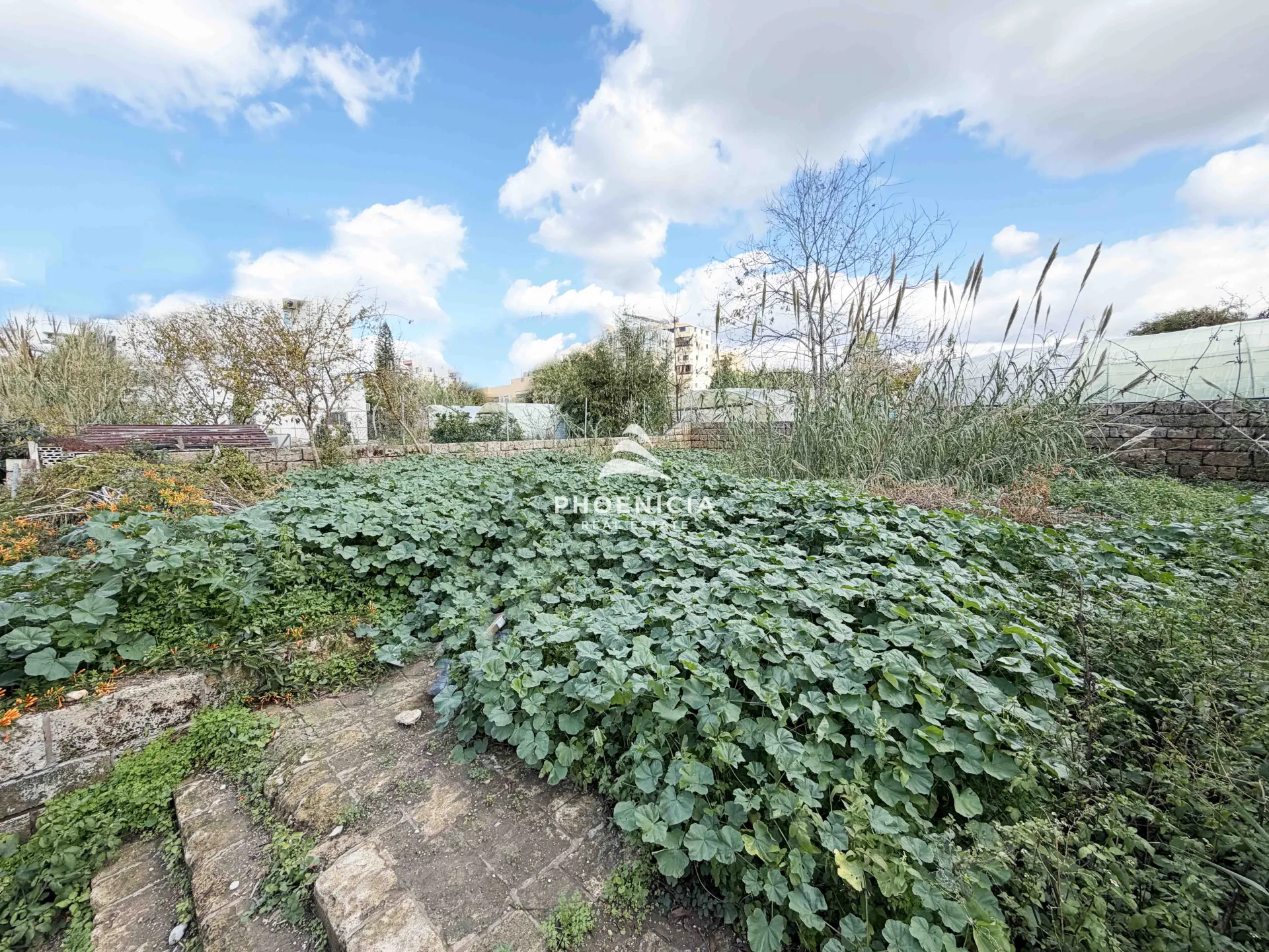 Land for Sale in Byblos
