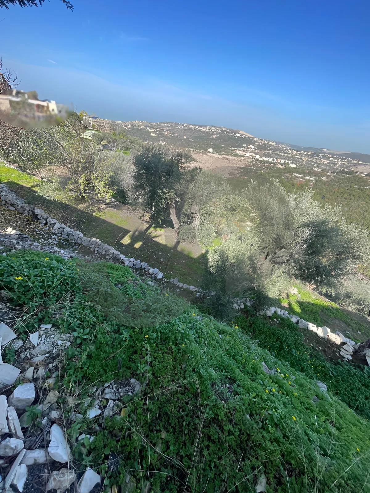 Land for Sale in Byblos