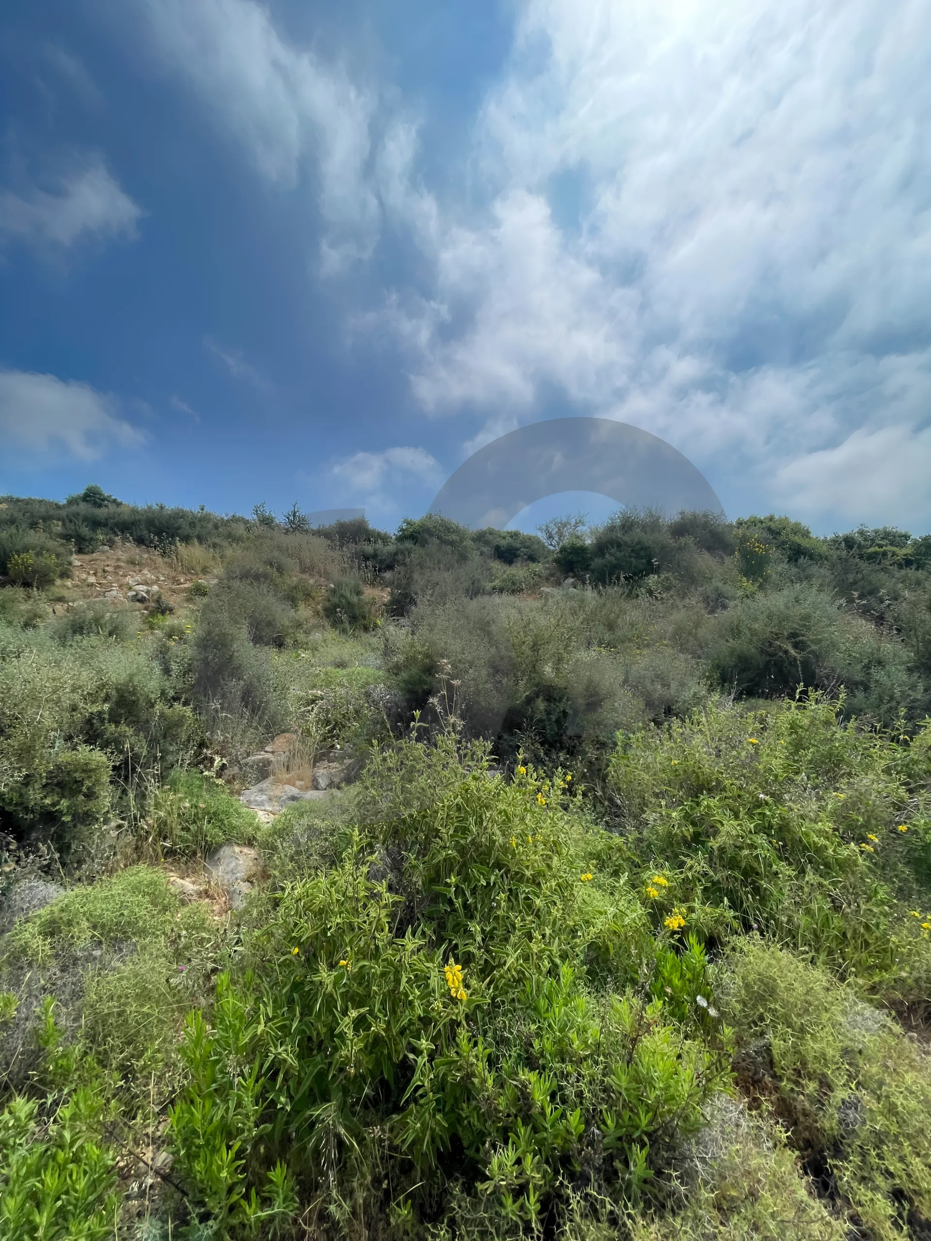 Land for Sale in Gharzouz