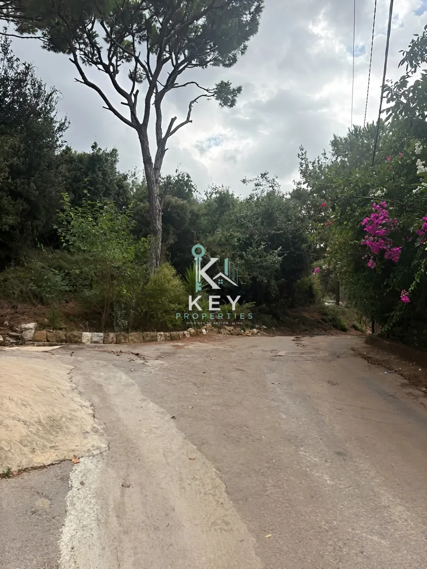Land for sale in Nabiyeh