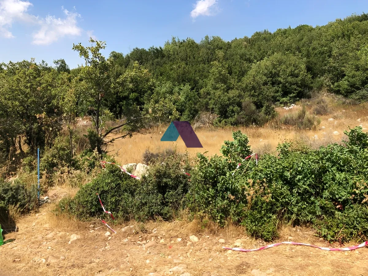 Land for Sale in Tarchich
