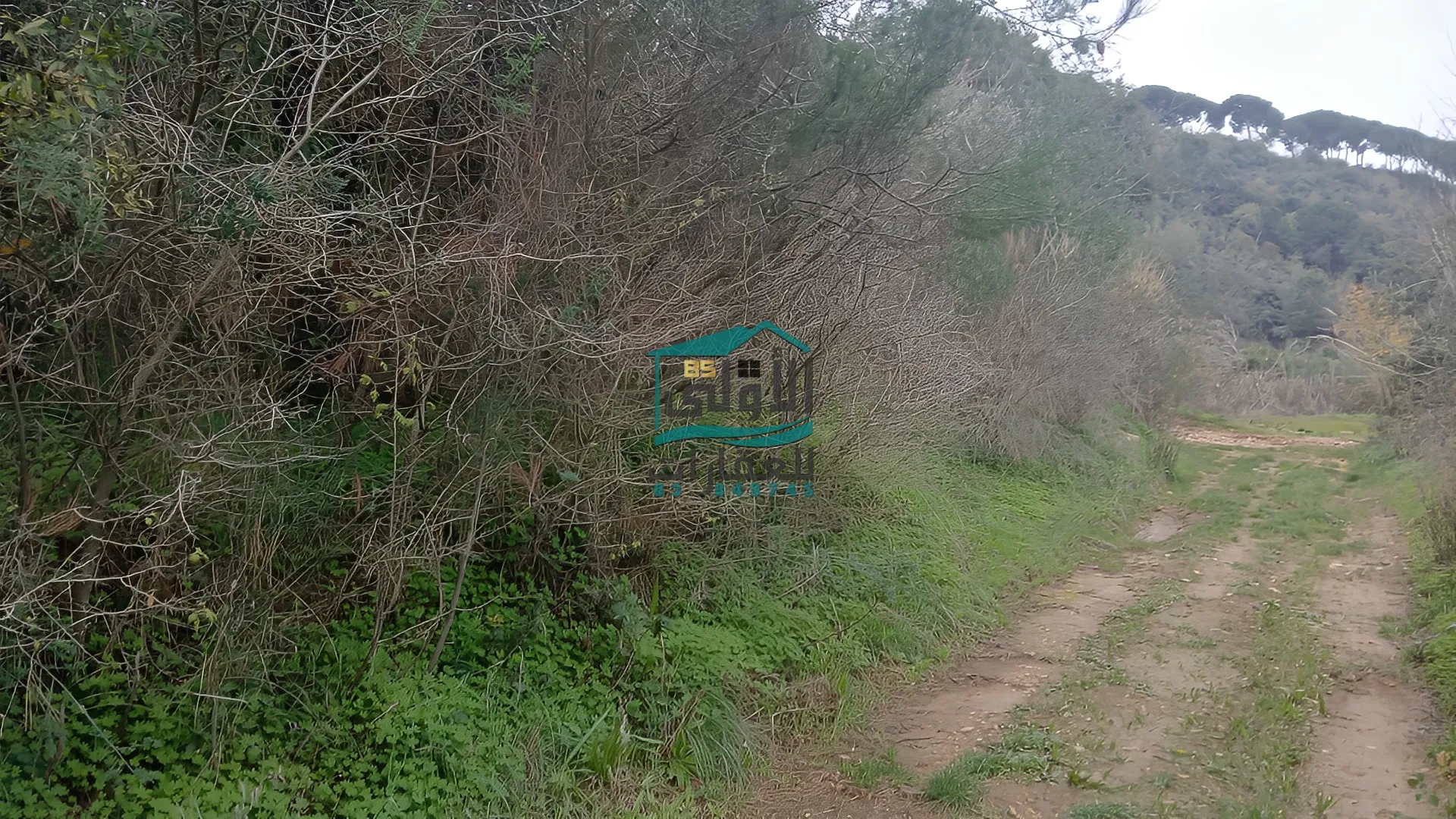 Land in Daqqoun, lebanon