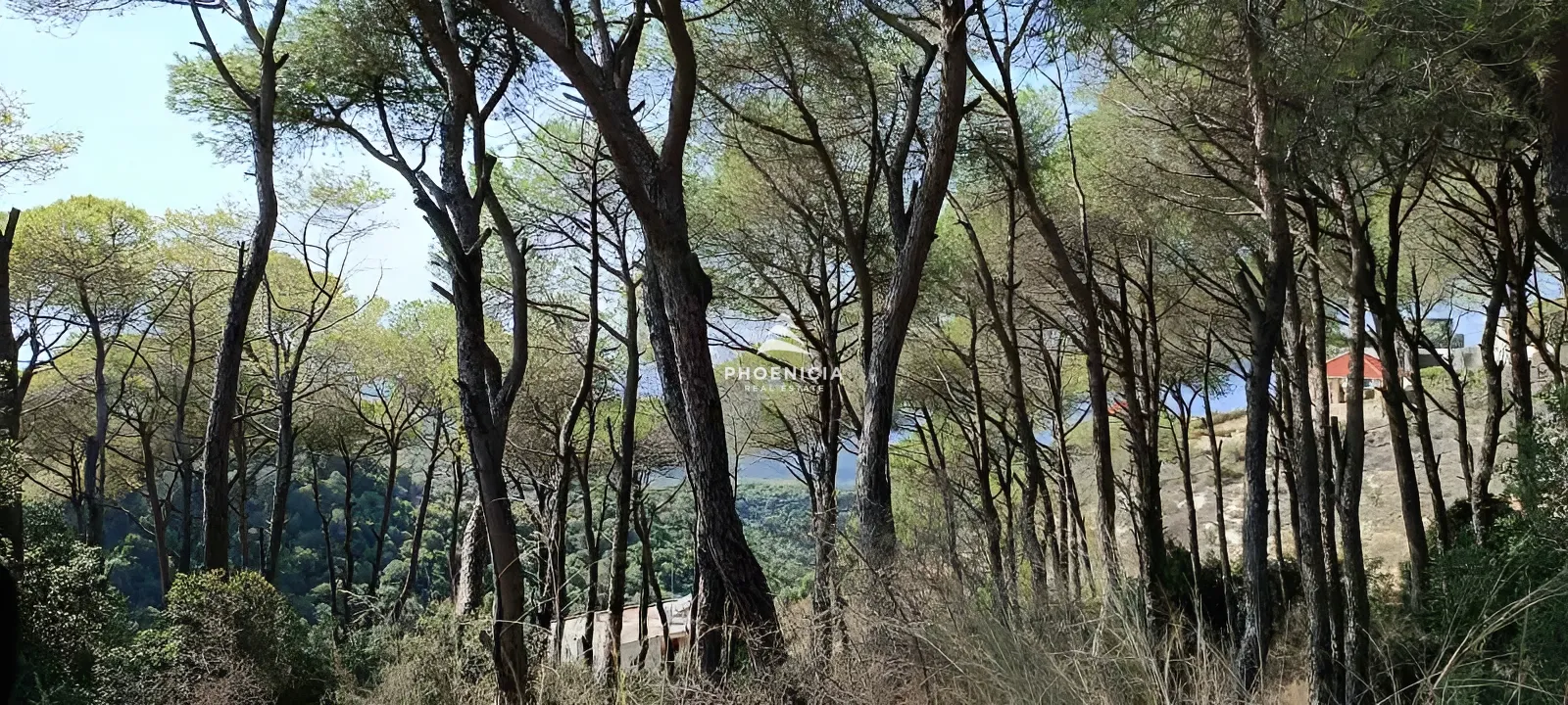 Land for Sale in Gharzouz