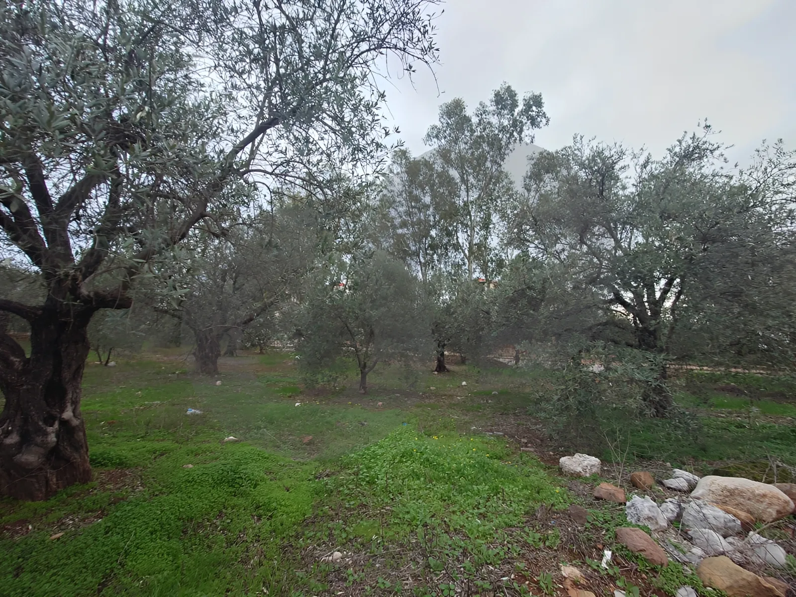 Land for Sale in Zgharta