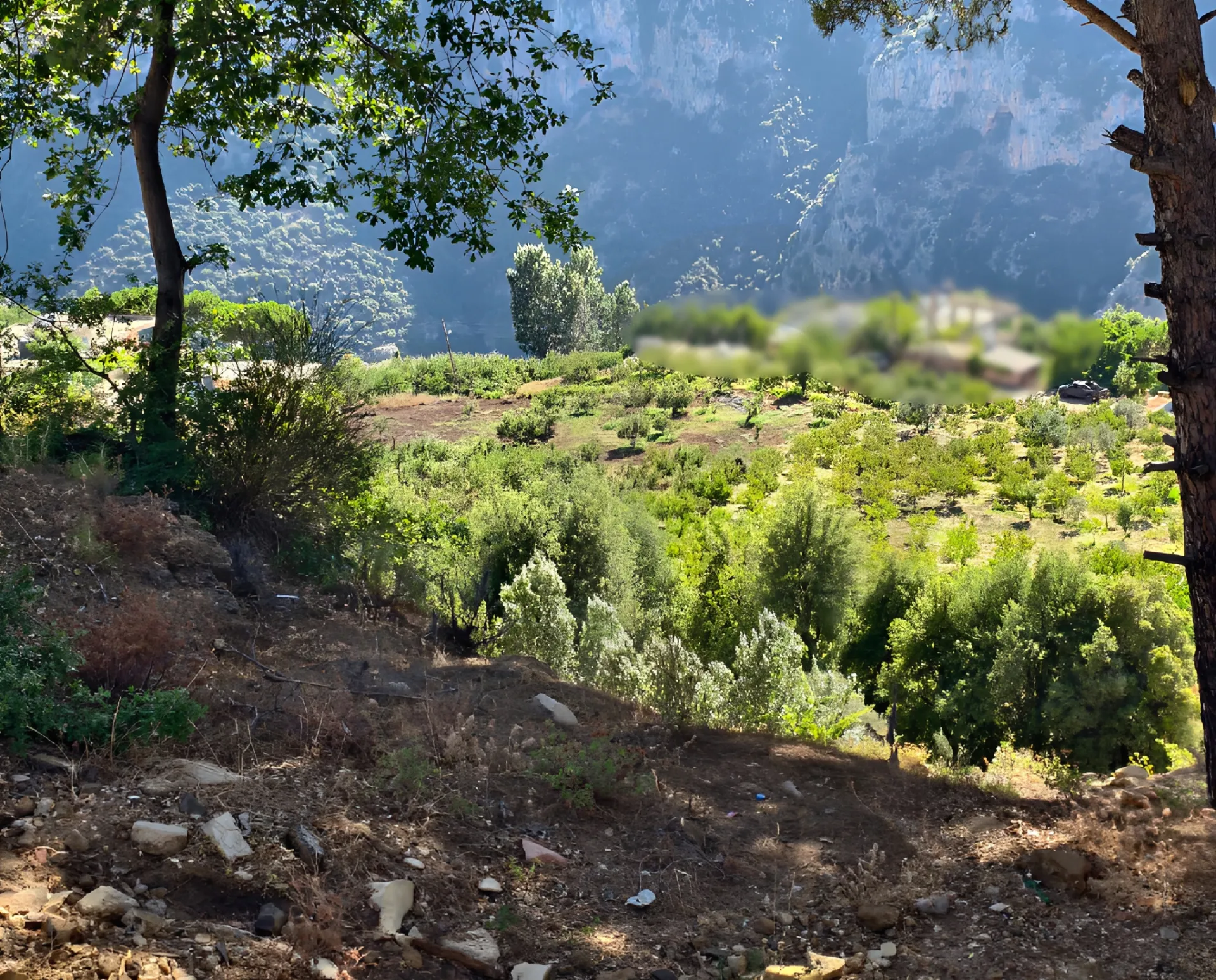 Land for Sale in Zgharta
