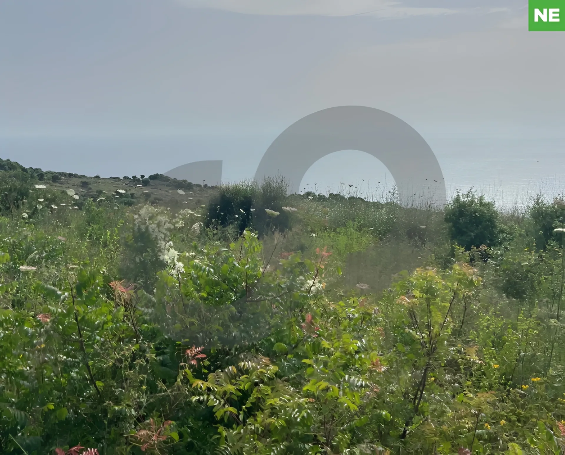 Land for Sale in Berbara, Lebanon
