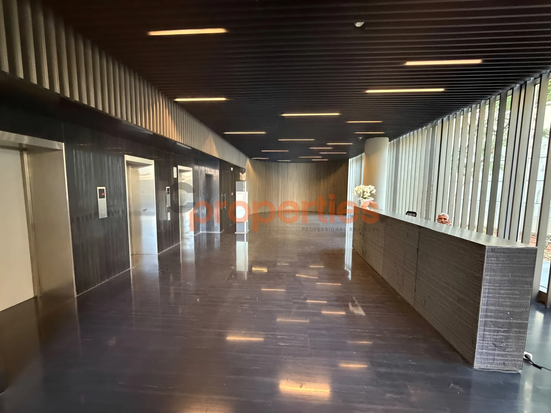 Office for Rent in Saifi Village