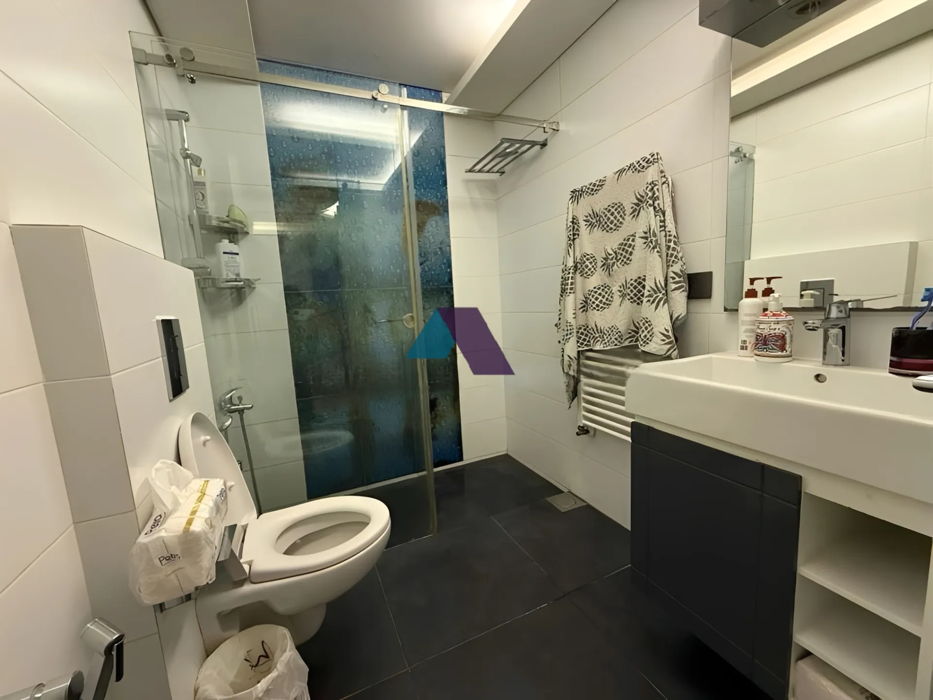 Apartment for Sale in Ain Saadeh