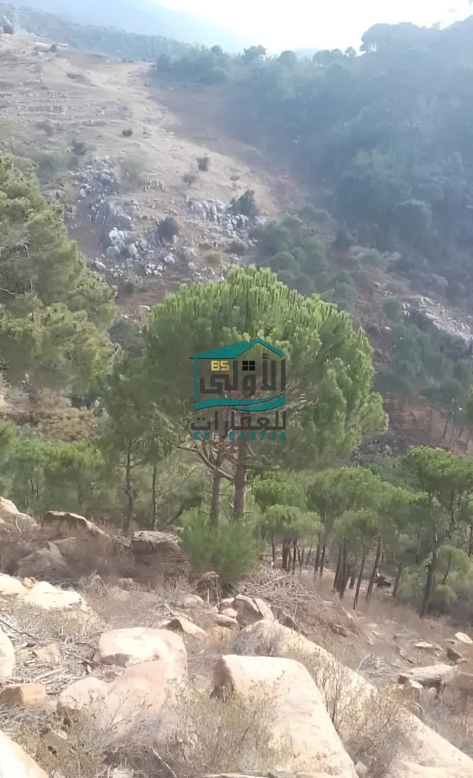 Land in الكفير، حاصبيّا، lebanon