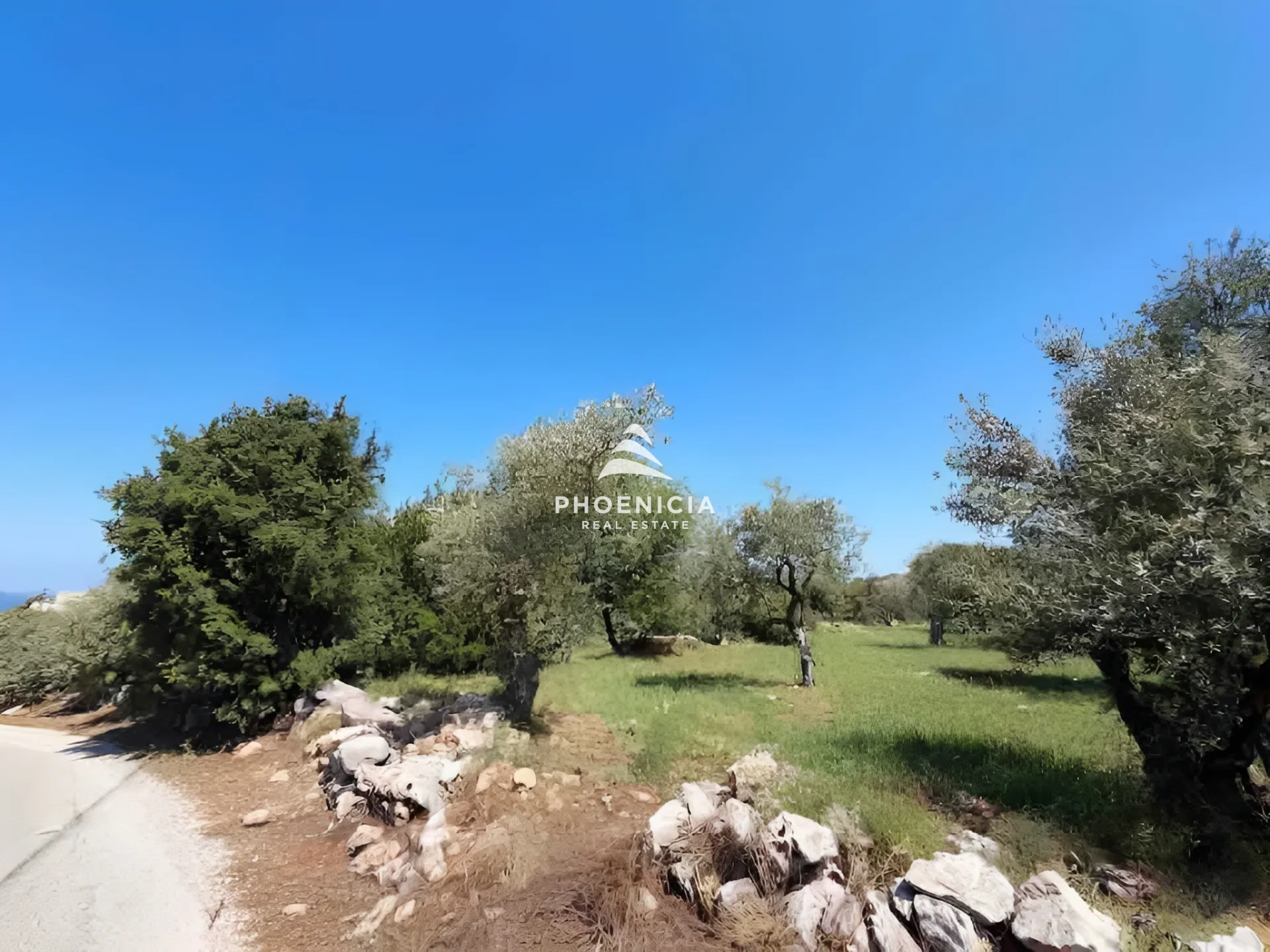 Land for Sale in Monsef