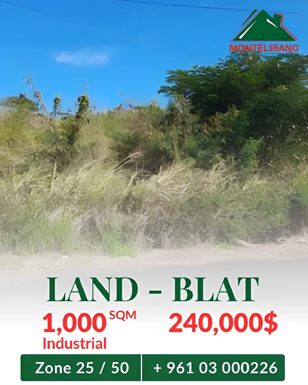 Industrial Land for sale in Blat, Lebanon