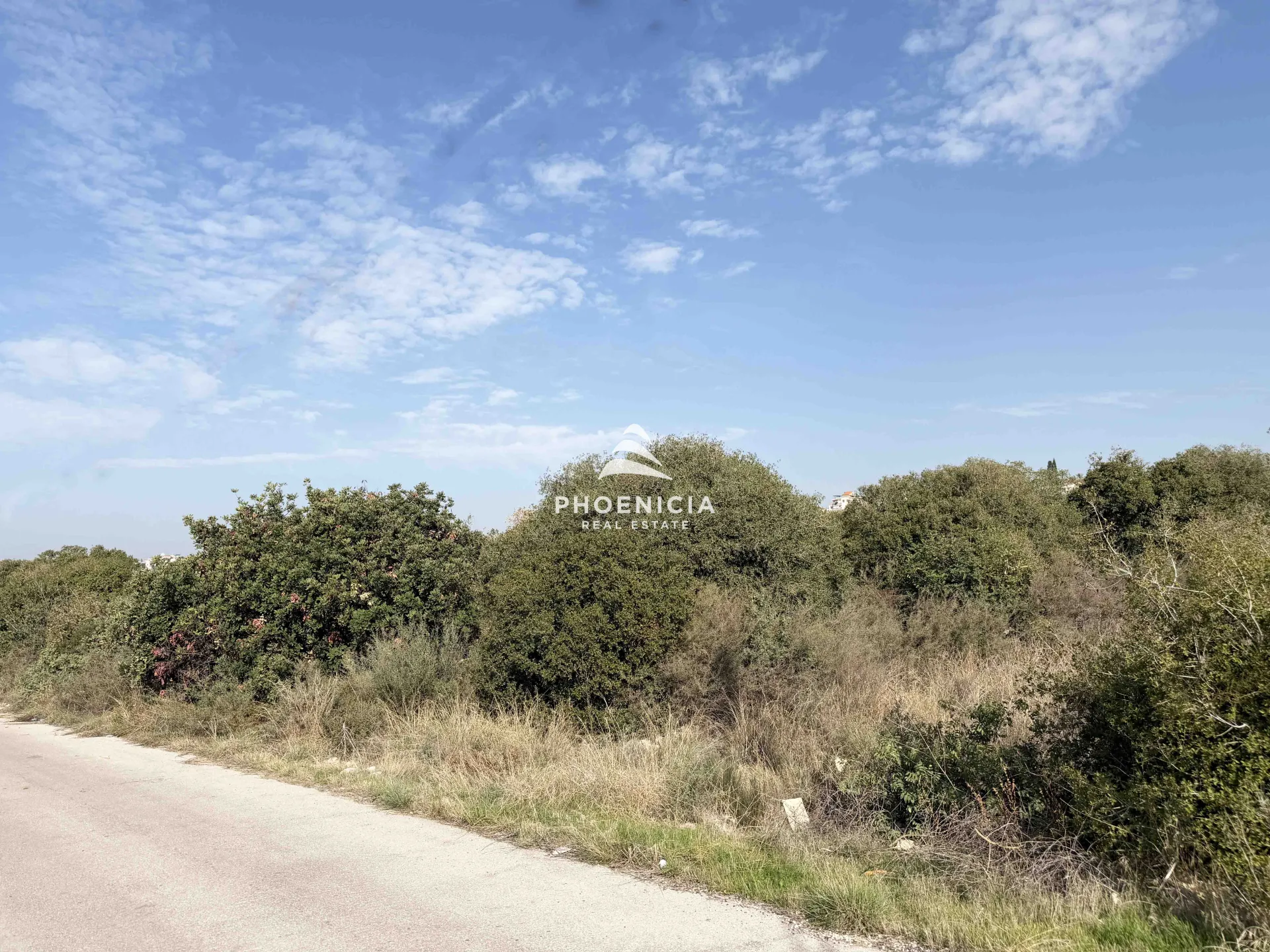 Land for Sale in Edde
