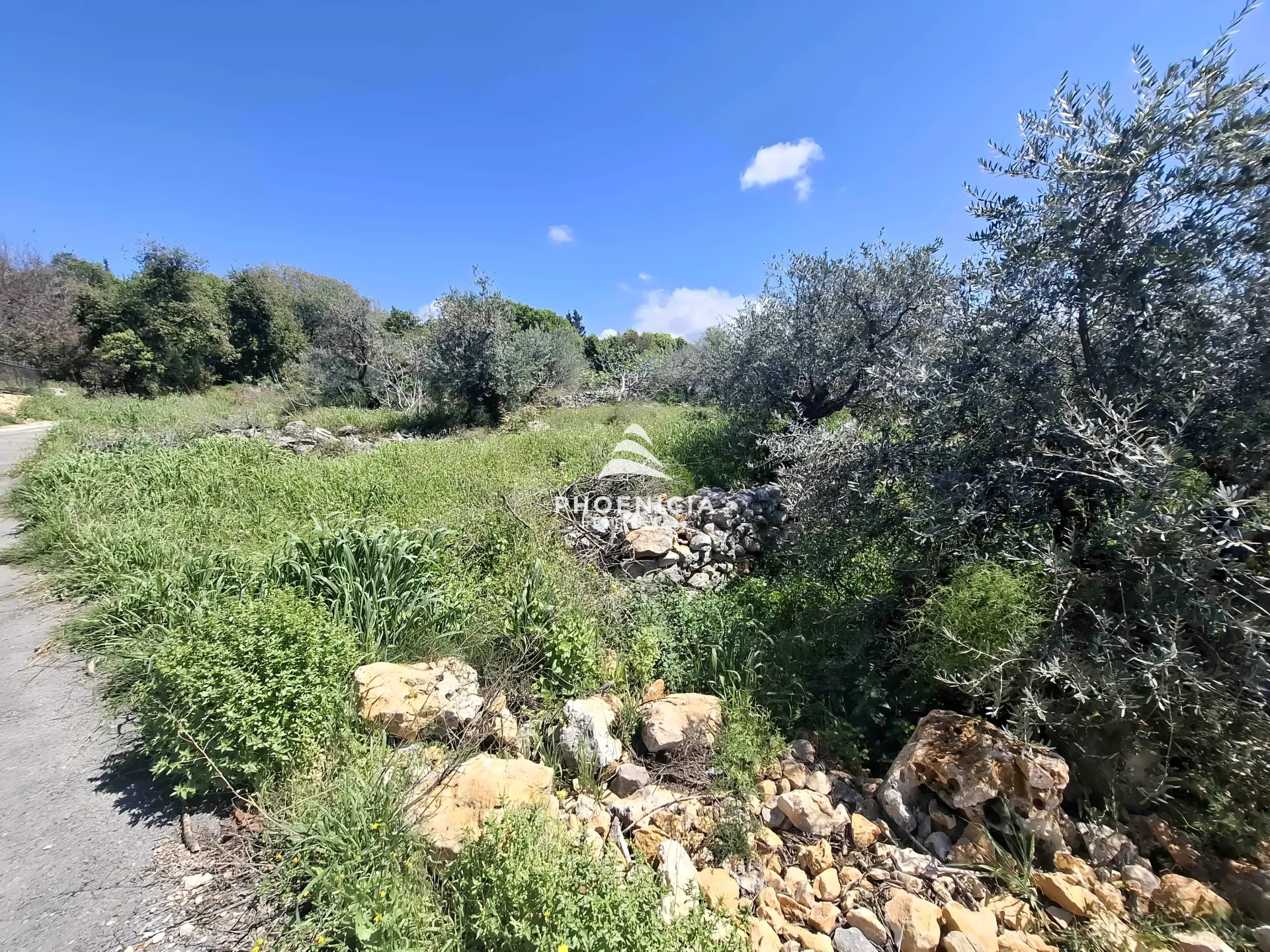 Land for Sale in Monsef