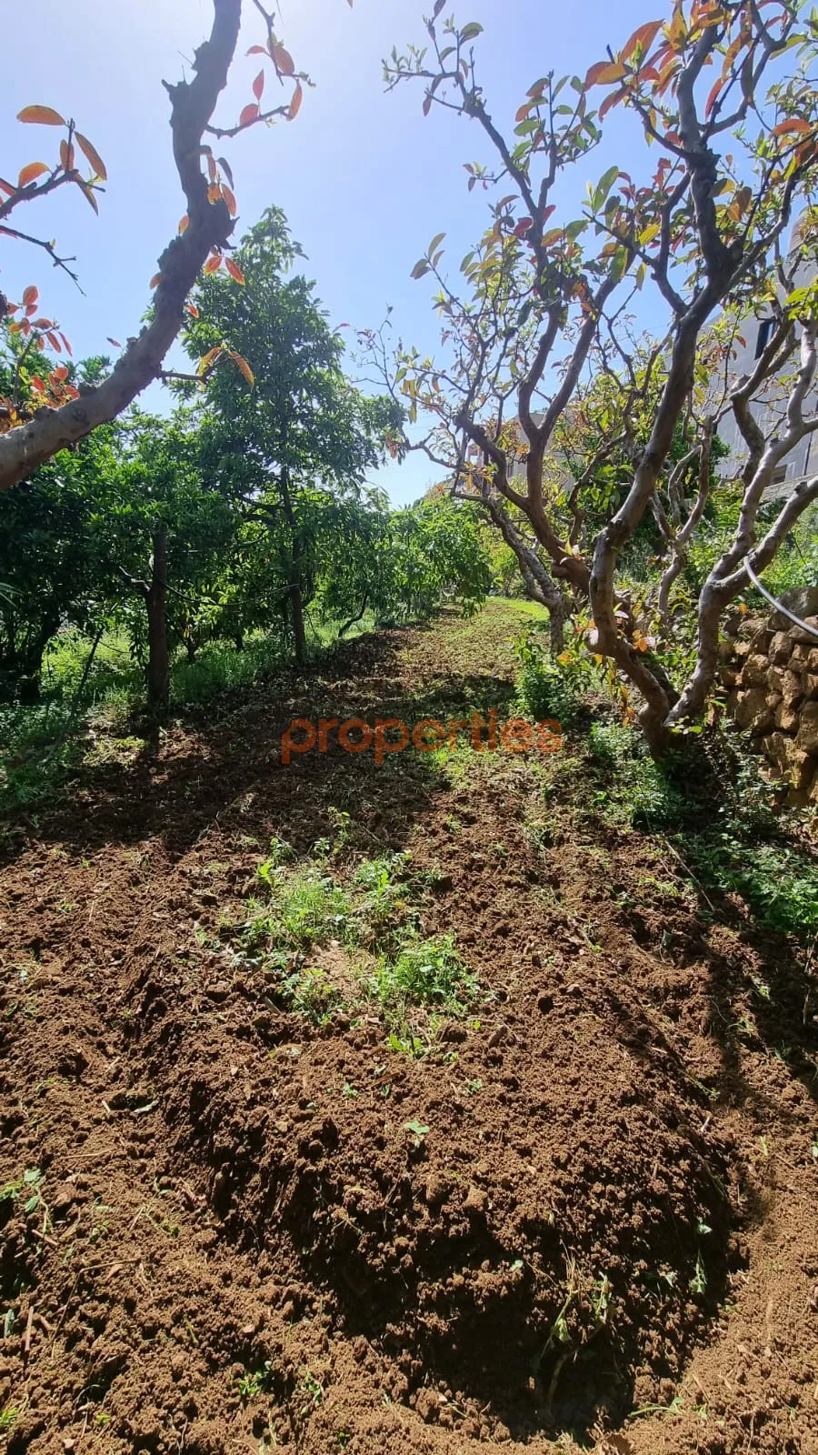 Residential Land for Rent in Kahaleh